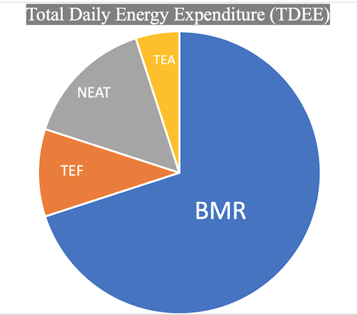 articles/how-to-calculate-your-calorie-intake-bmr-and-tdee.png How to Calculate Your Calorie Intake (BMR and TDEE)